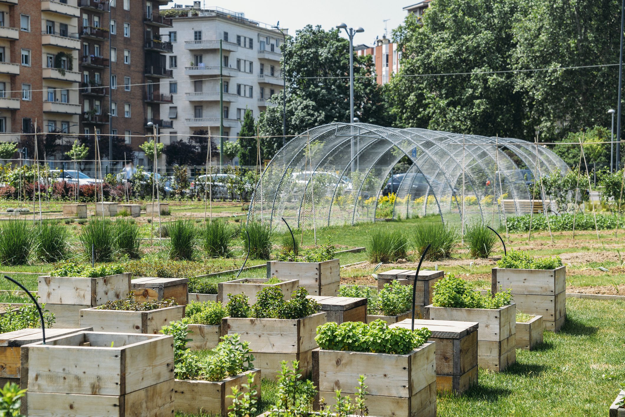 Area verde Ex-Ater, orti urbani e progetto "Next Level"...